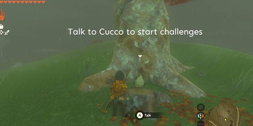 TotK-South-Akkala-Cucco