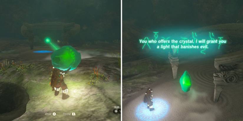 totk tears of the kingdom en oma shrine crystal offer