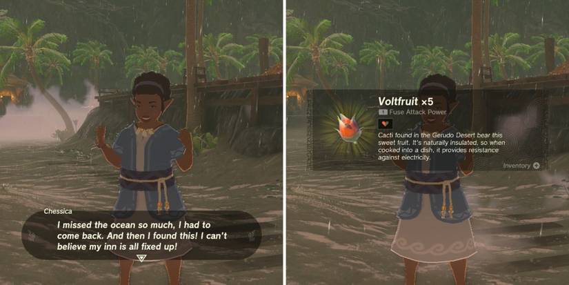 totk tears of the kingdom inn reward