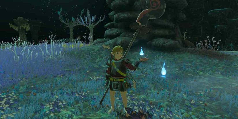 totk tears of the kingdom poes