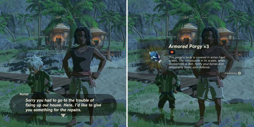 totk tears of the kingdom village head house reward