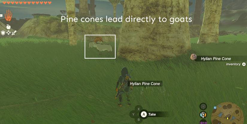 TotK-White-Goat-Location