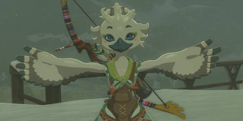 Tulin in The Legend of Zelda Tears of the Kingdom