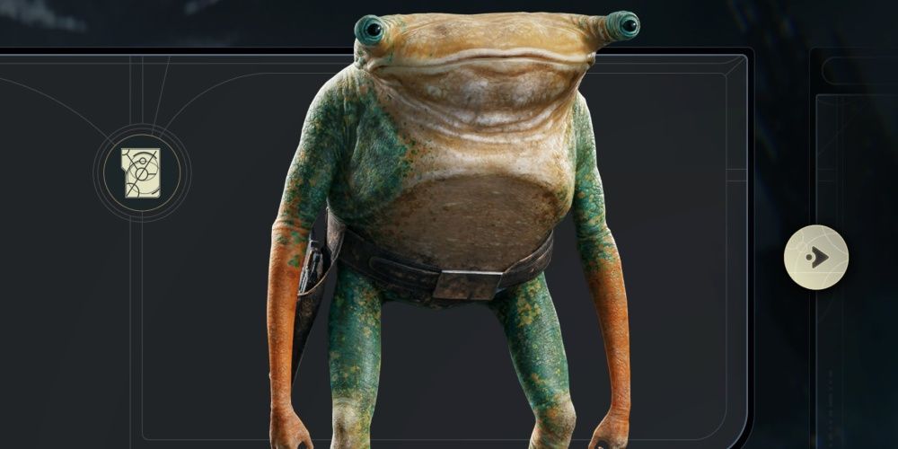 turgle character profile