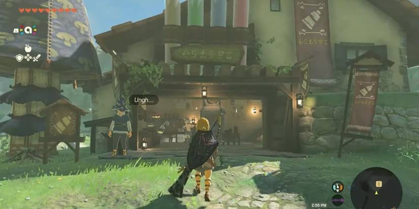 kochi dye shop tears of the kingdom