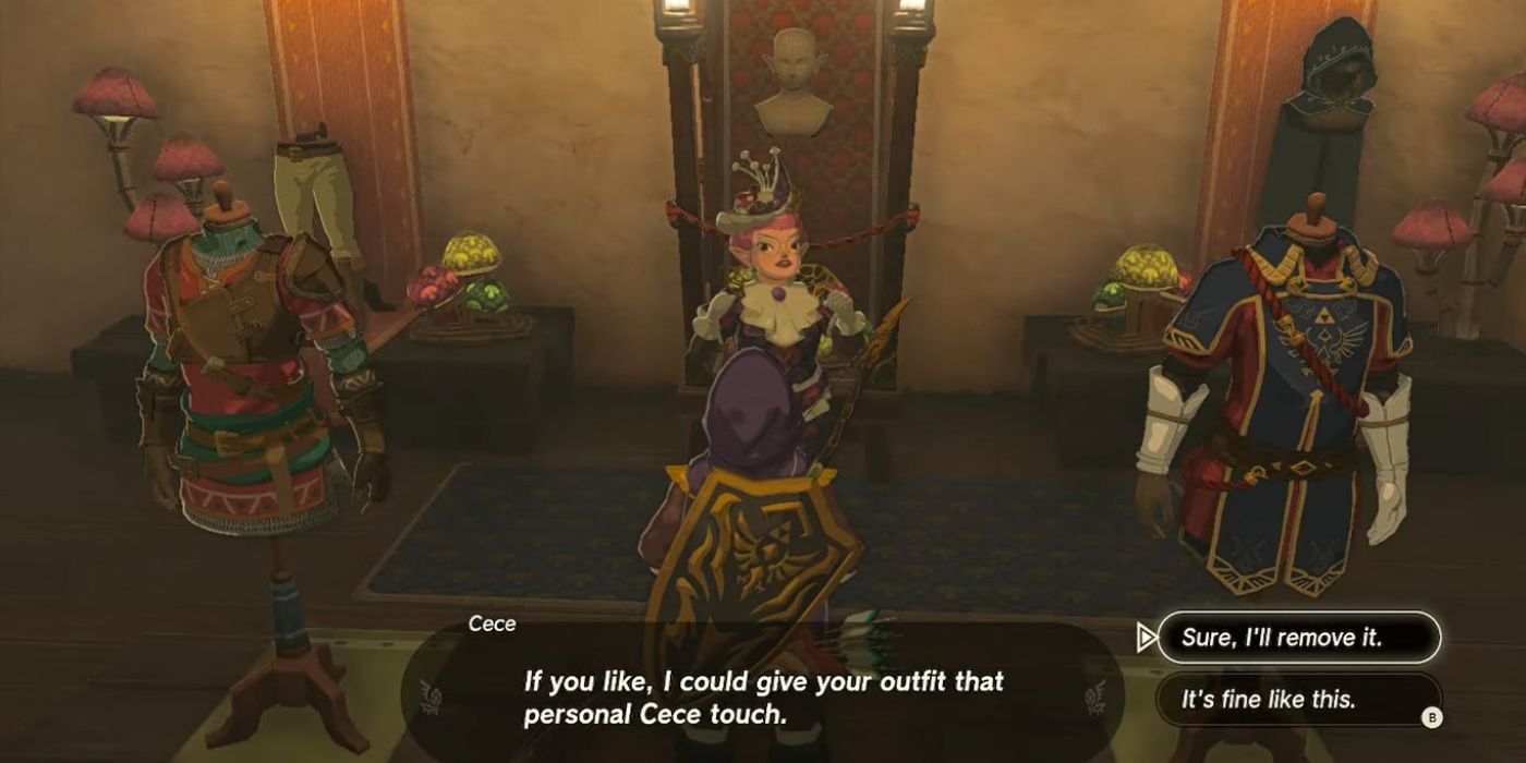 Zelda: Tears of the Kingdom - How to Lower Link's Hood