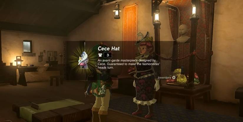 link and cece tears of the kingdom