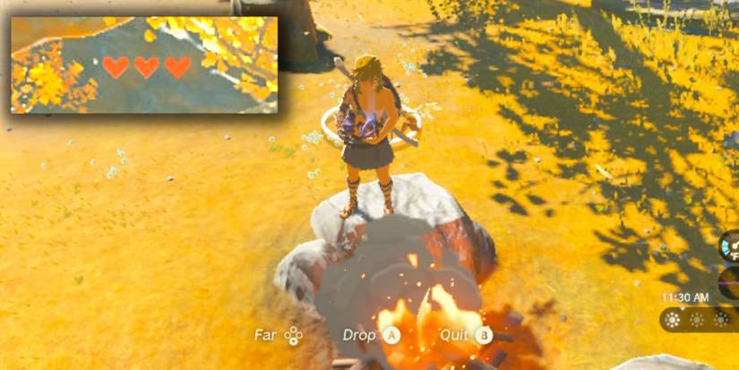 Zelda: Tears of the Kingdom Link