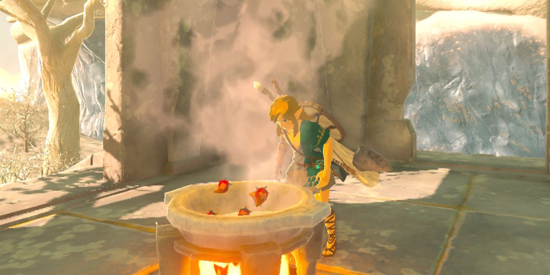 Zelda: Tears of the Kingdom Link