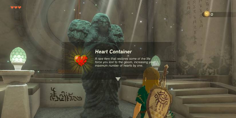 Zelda: Tears of the Kingdom Link