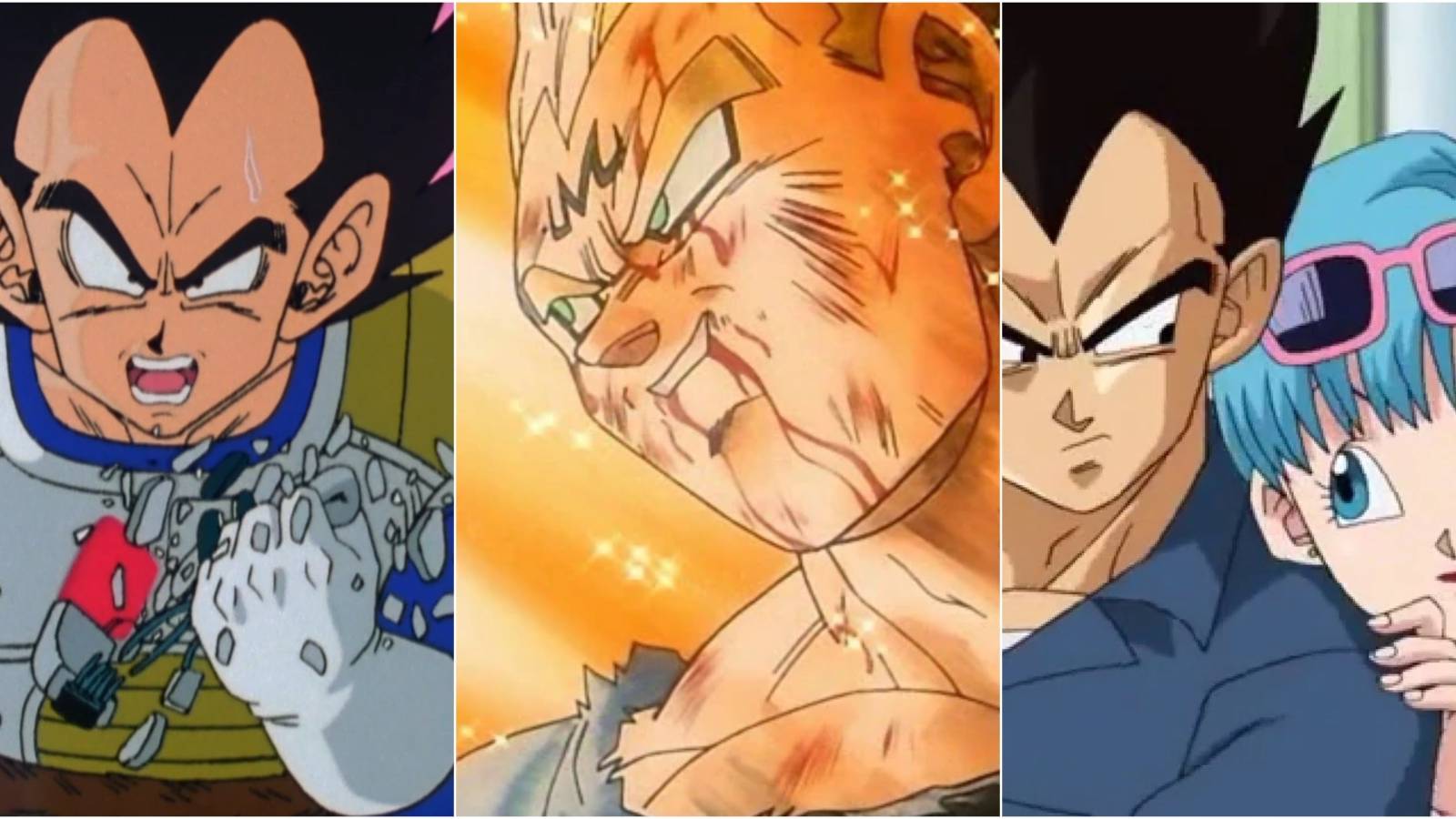 vegeta-changes