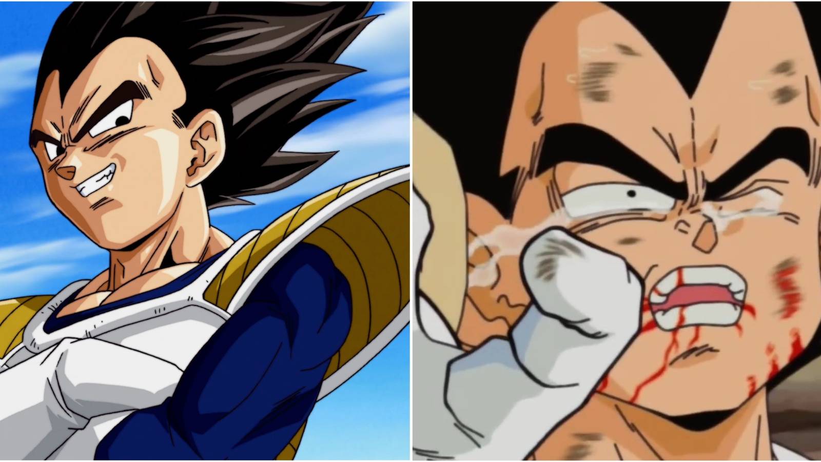 vegeta-pride-feature