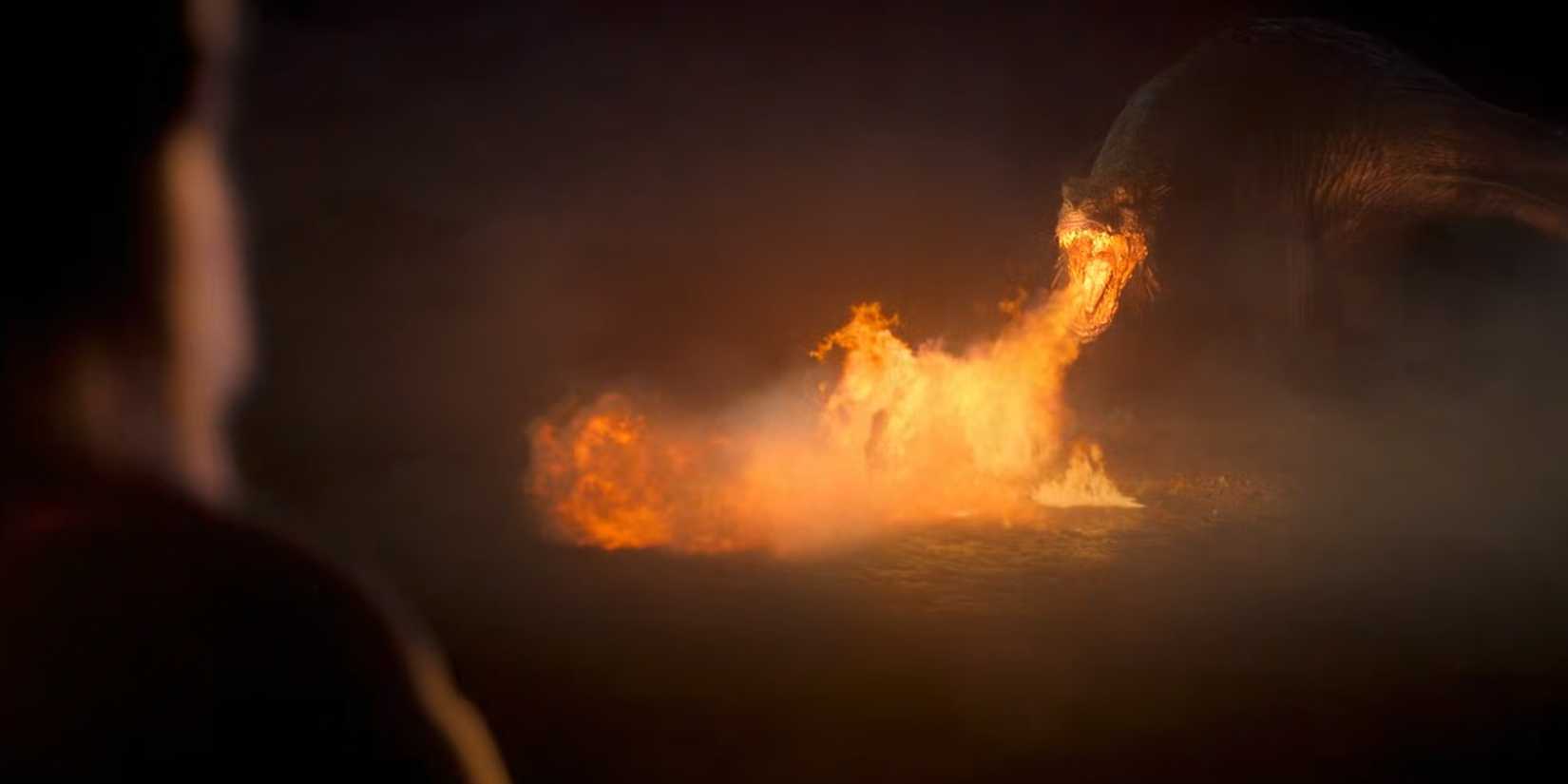 Daemon helplessly watches Vhagar burn Laena Velaryon alive in House of the Dragon.