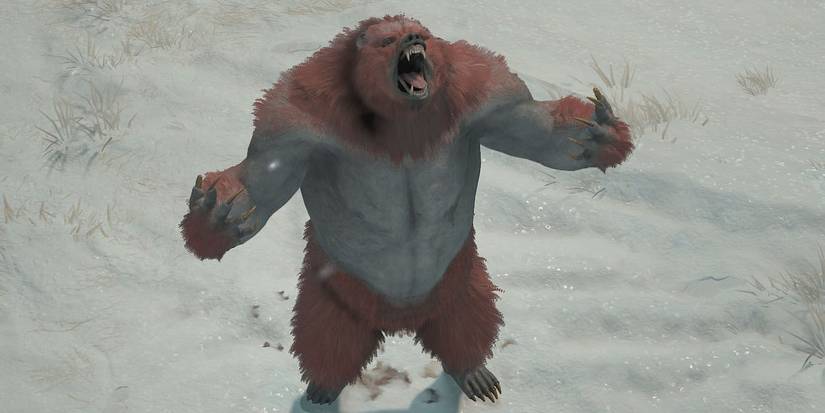 Werebear Druid Pulverize Wolves Diablo 4