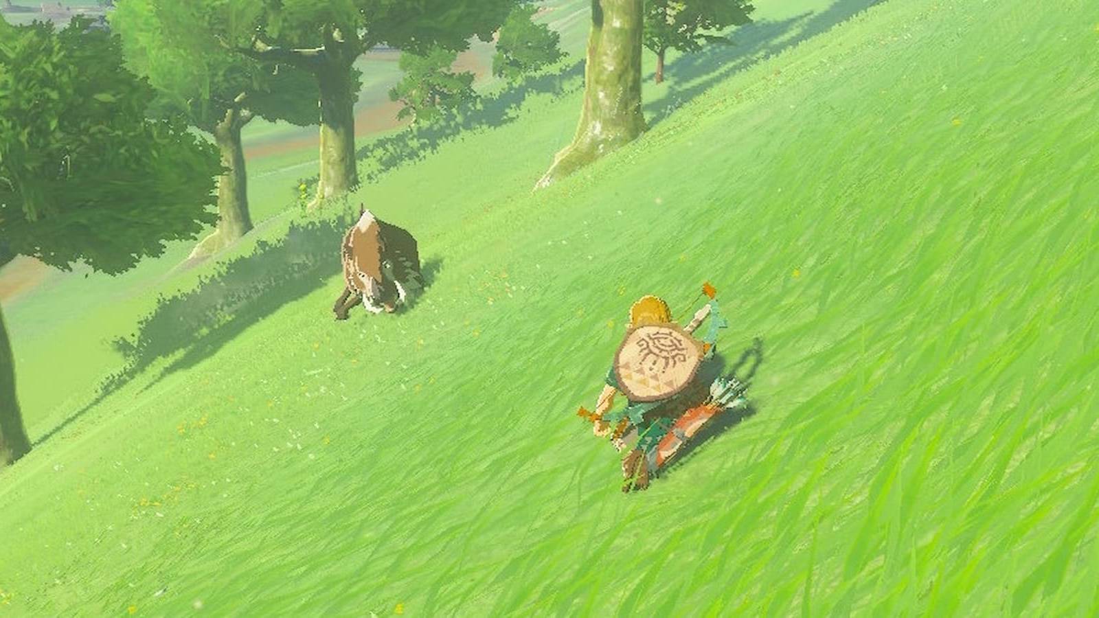 Zelda-Hunting-animals-tears-of-the-kingdom
