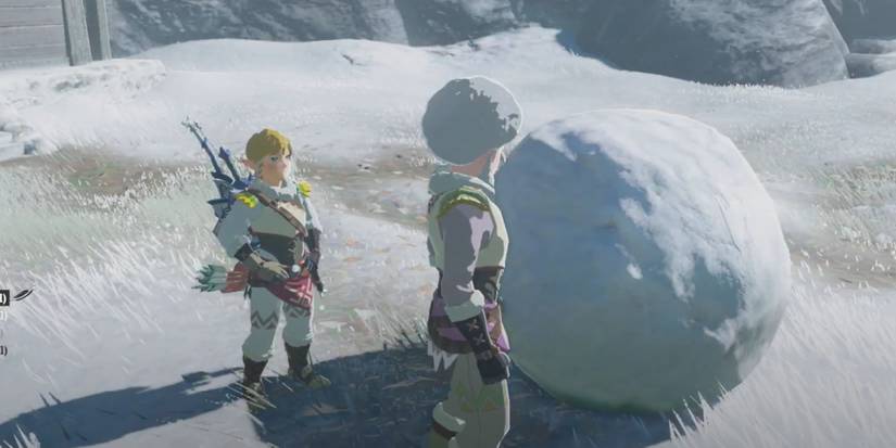 Zelda in cold resistance gear