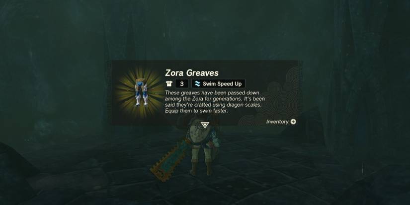 Zelda Tears of the Kingdom Zora greaves