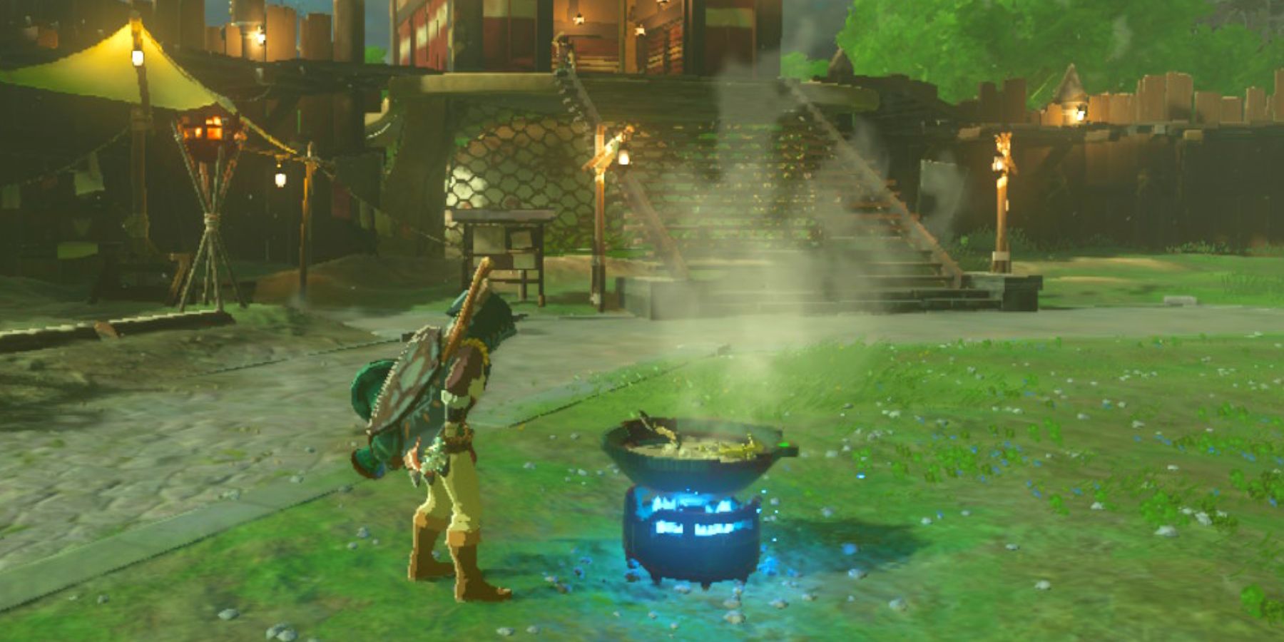 Zelda Tears of the Kingdom Link Cooking