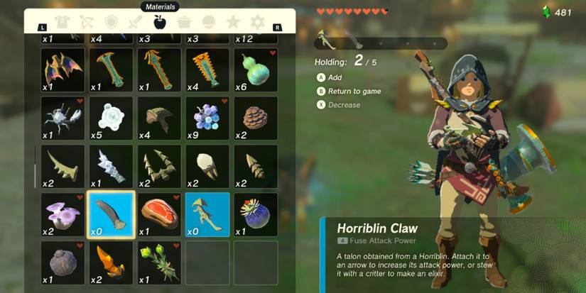 Zelda Tears of the Kingdom inventory 