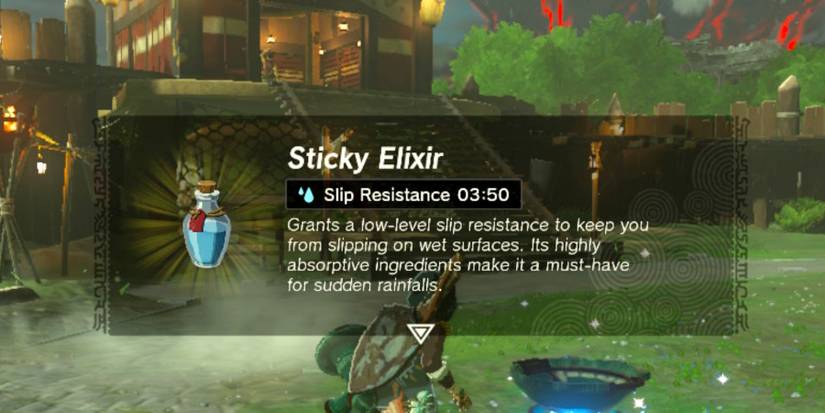 Zelda Tears of the Kingdom Sticky Elixir 