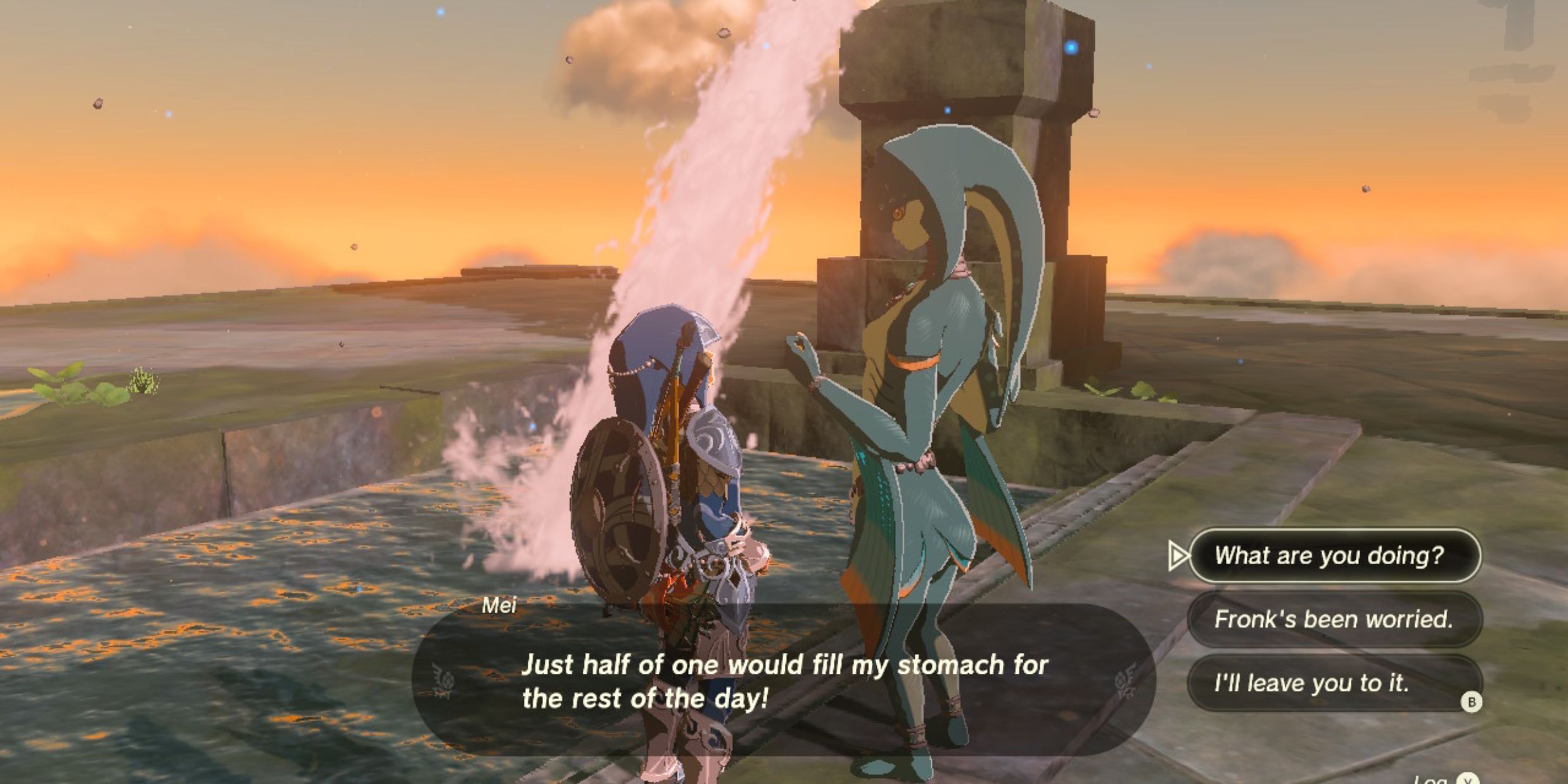 Zelda Tears of the Kingdom Mei