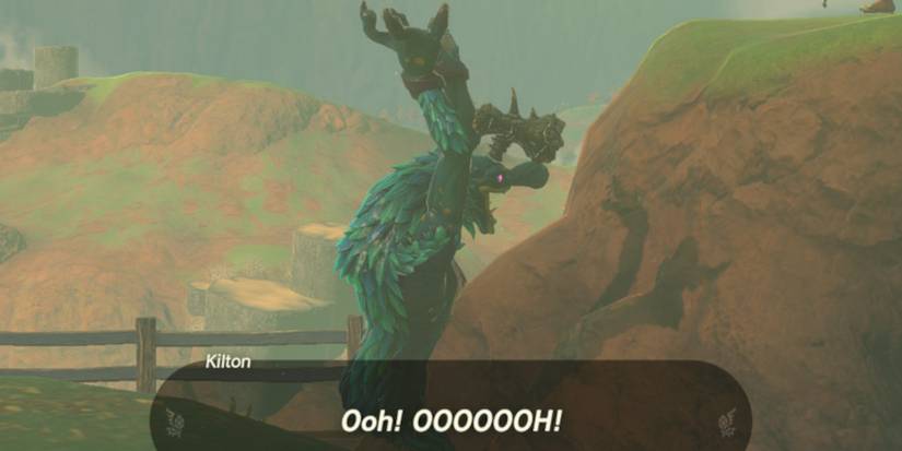 Zelda-Tears-Of-The-Kingdom-All-Kilton-Photos-03