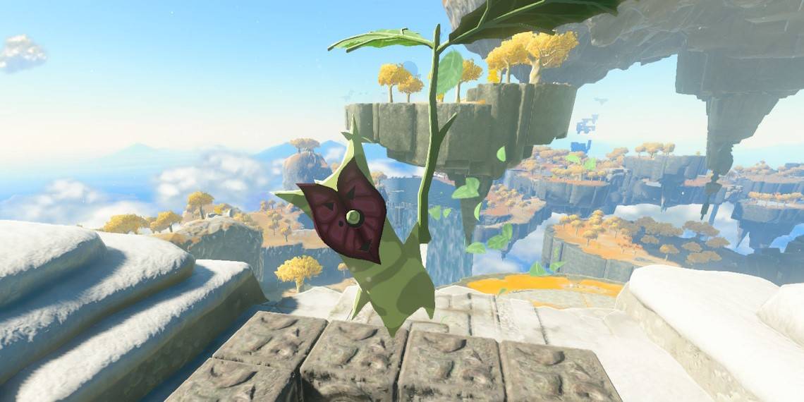 zelda-tears-of-the-kingdom-all-korok-seed-locations-great-sky-island1