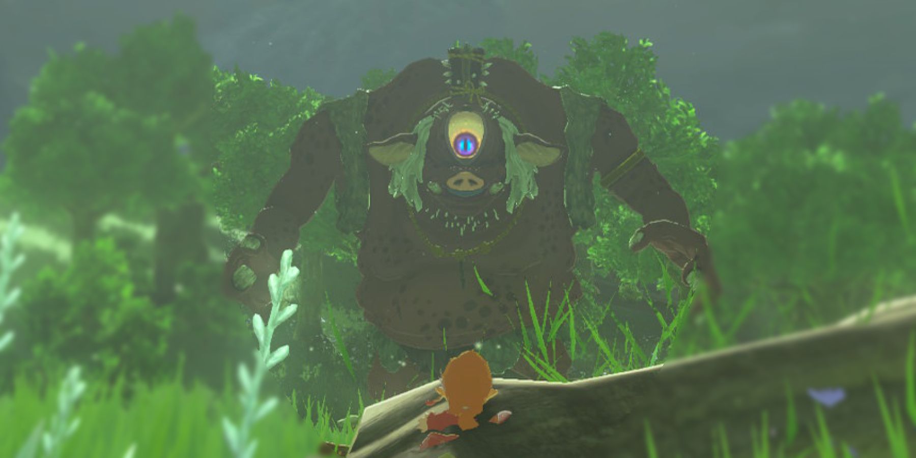 Zelda Tears of the Kingdom Beat Hinox Boss Guide Closeup Eye-1