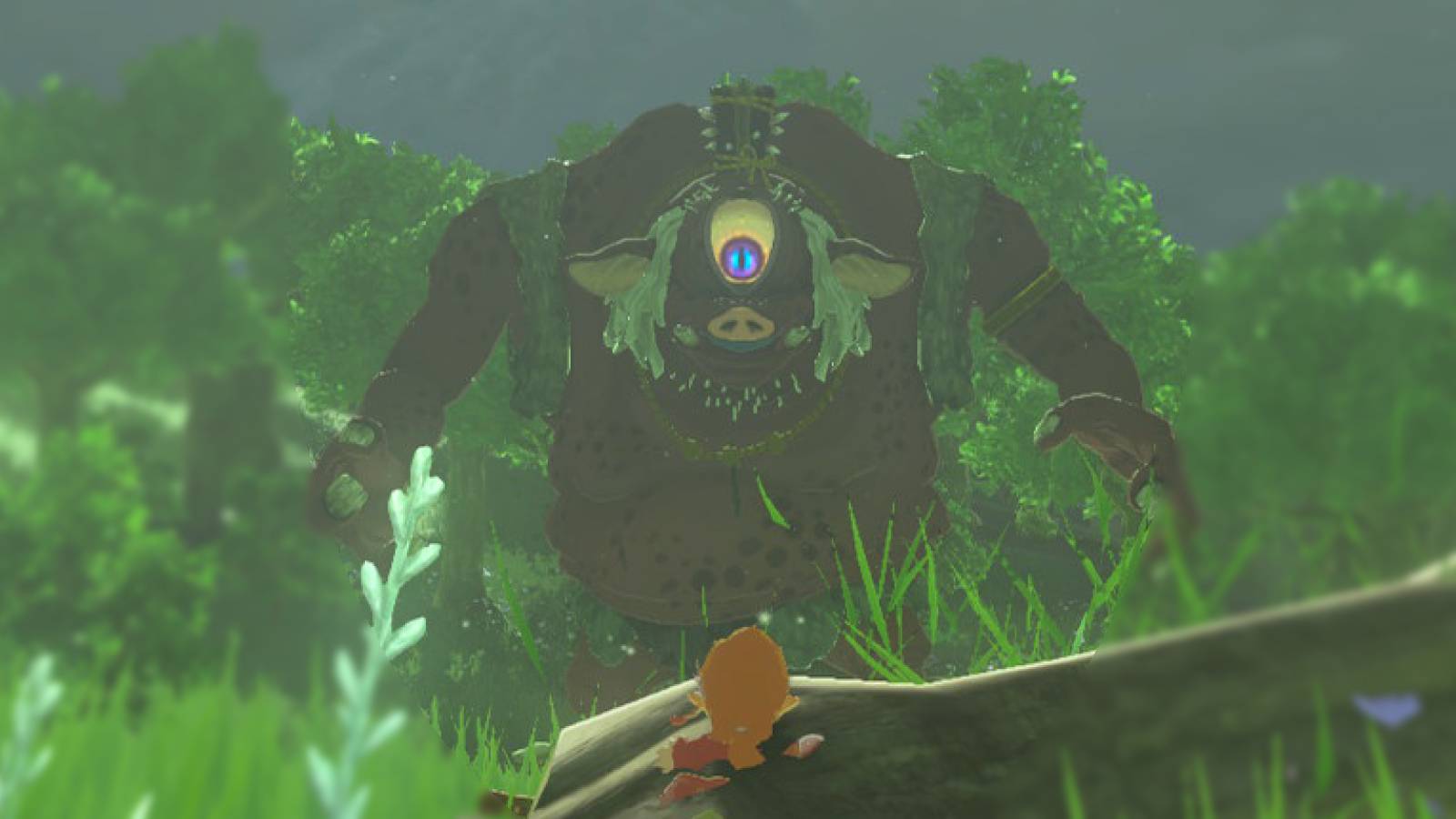 Zelda Tears of the Kingdom Beat Hinox Boss Guide Closeup Eye-1