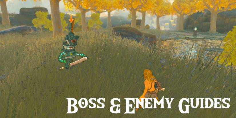 zelda-tears-of-the-kingdom-bosses-and-enemies-2