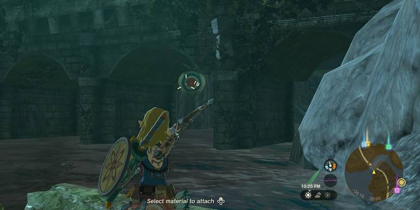 zelda-tears-of-the-kingdom-central-hyrule-koroks3