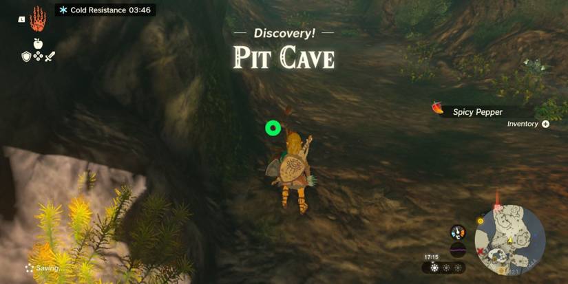 How to Survive Cold Weather in Zelda: Ultimate Survival Tips