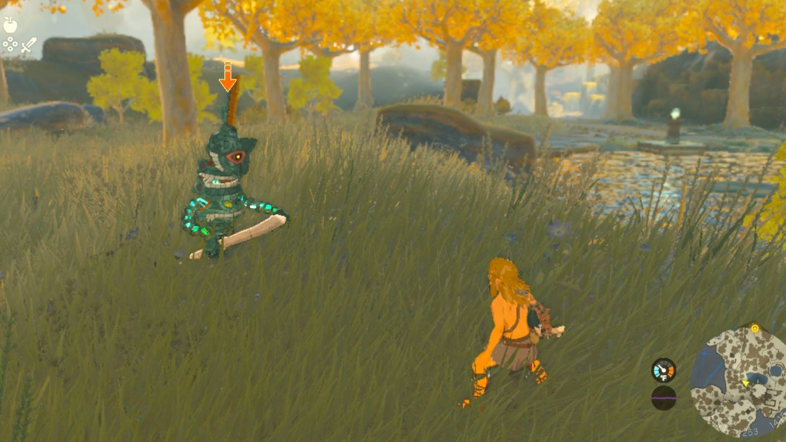 zelda tears of the kingdom combat lock on