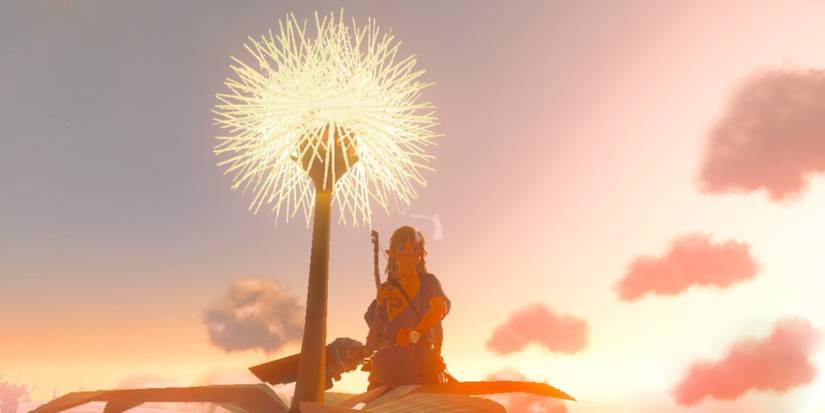 Link solving dandelion Korok puzzle