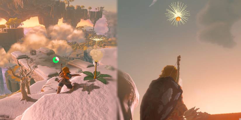 Zelda Tears of the Kingdom Dandelion Secret Korok Seed Attack Catch