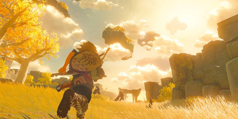 Zelda: Tears of the Kingdom Player Builds Star Wars TIE Fighter