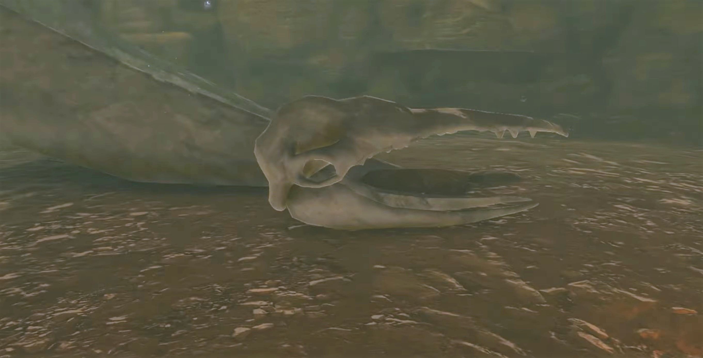 Why Zelda: Tears of the Kingdom's Use of the Leviathans is Perfect