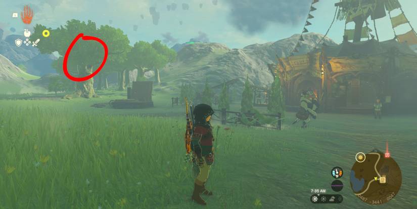 Zelda-Tears-of-the-Kingdom-Great-Fairy-Guide-11