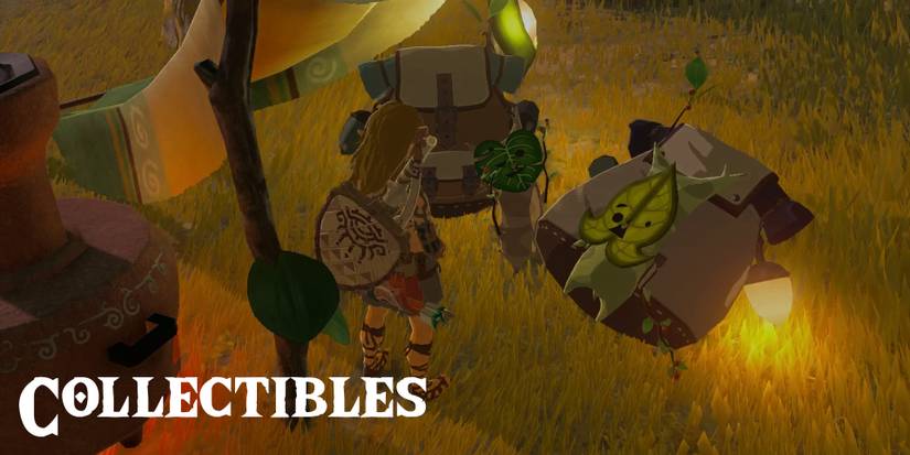 zelda-tears-of-the-kingdom-guide-collectibles