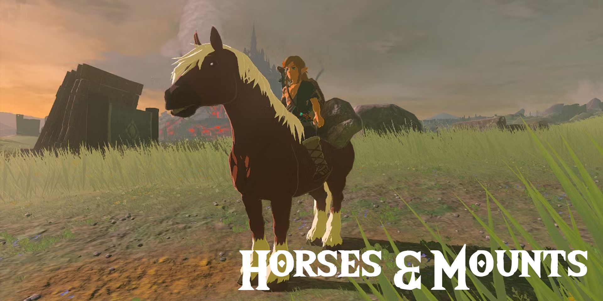 Zelda Tears of the Kingdom Horses and Mounts