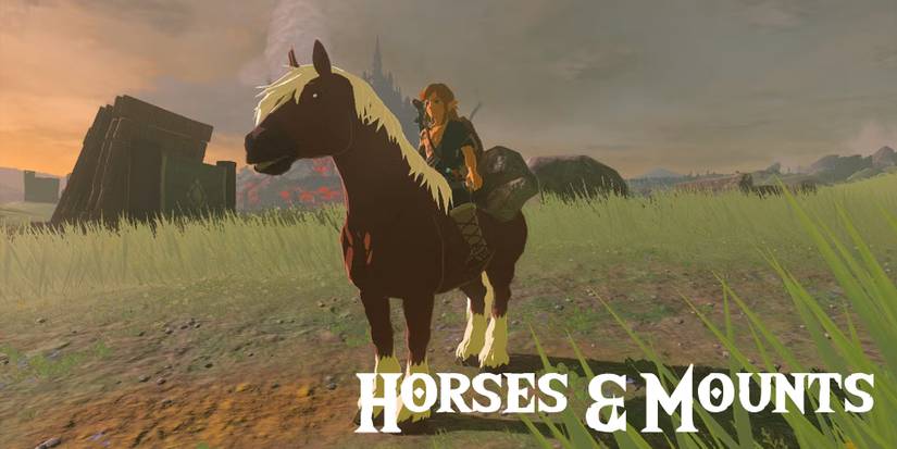 zelda-tears-of-the-kingdom-horses-and-mounts