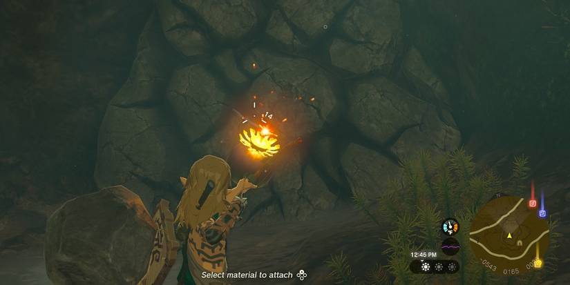 zelda-tears-of-the-kingdom-how-to-get-bomb-flowers3