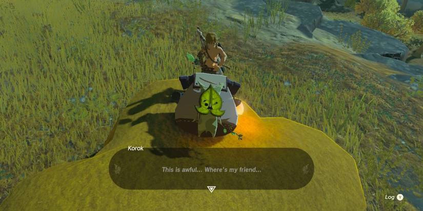 link and a korok looking for his friend