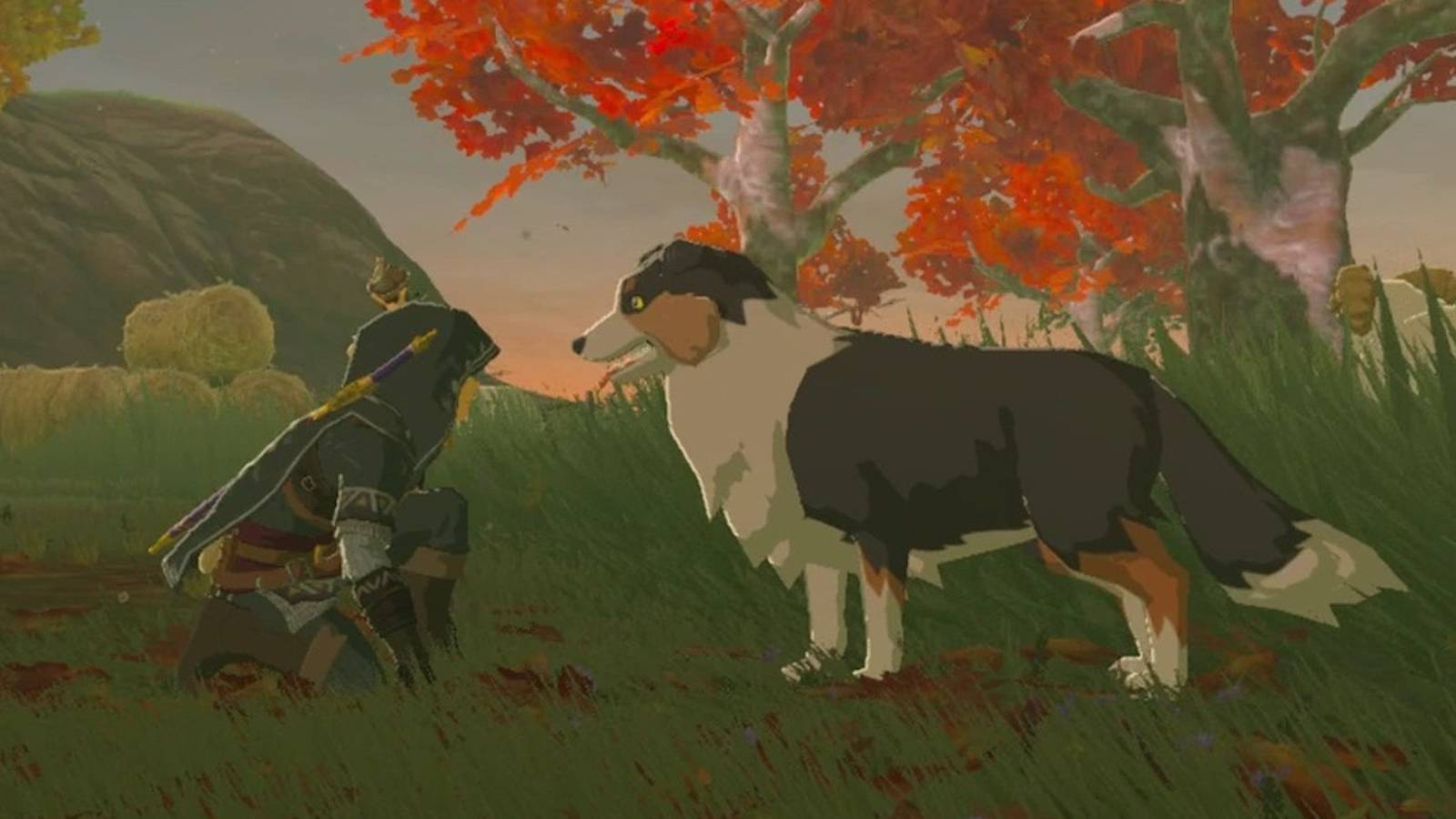zelda tears of the kingdom link dog