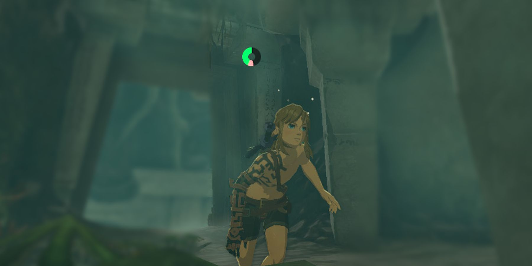 Zelda Tears of the Kingdom Link Sprint Closeup Screenshot