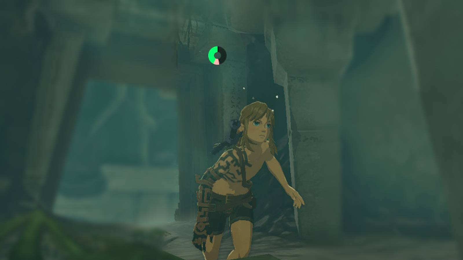 Zelda Tears of the Kingdom Link Sprint Closeup Screenshot