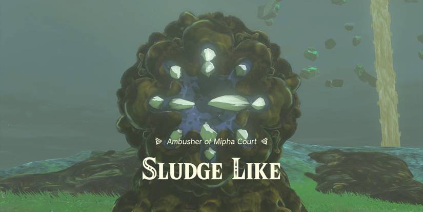 zelda-tears-of-the-kingdom-sidon-of-the-zora-walkthrough-sludge-like