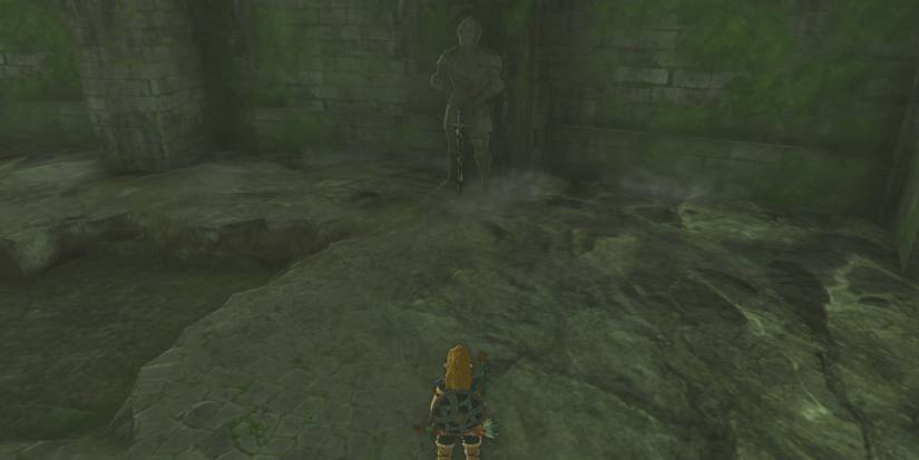 zelda tears of the kingdom soldier