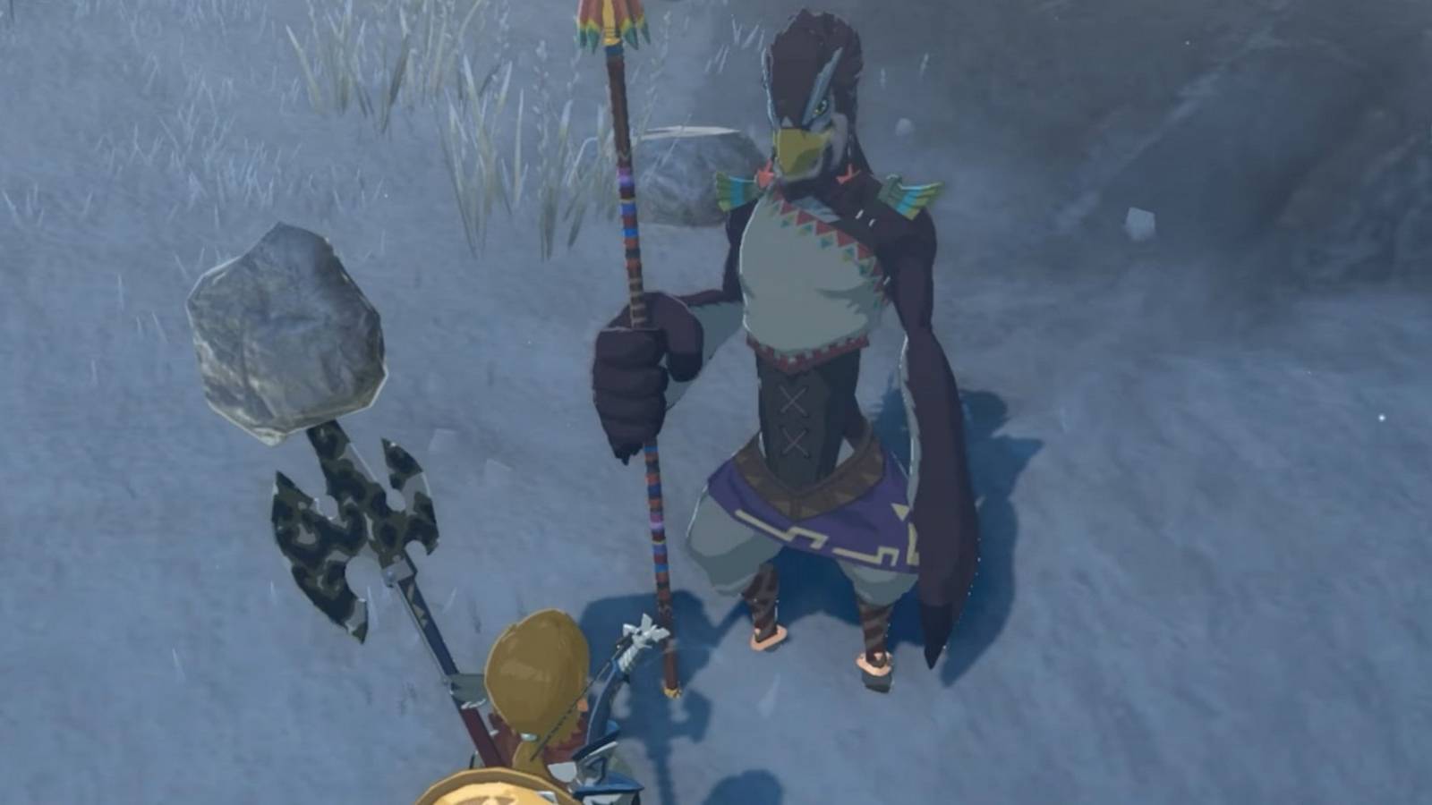 Zelda Tears of the Kingdom - The Blocked Cave Walkthrough