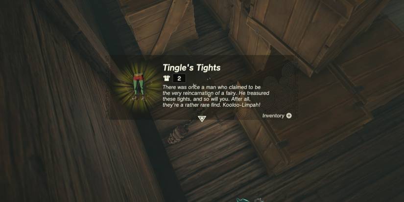 Zelda-Tears-Of-The-Kingdom-Tingle-Armor-05